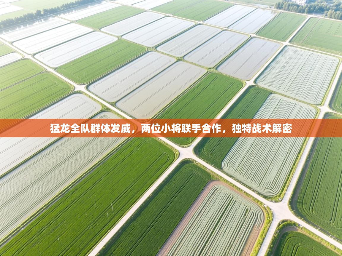 猛龙全队群体发威,两位小将联手合作,独特战术解密 第1张