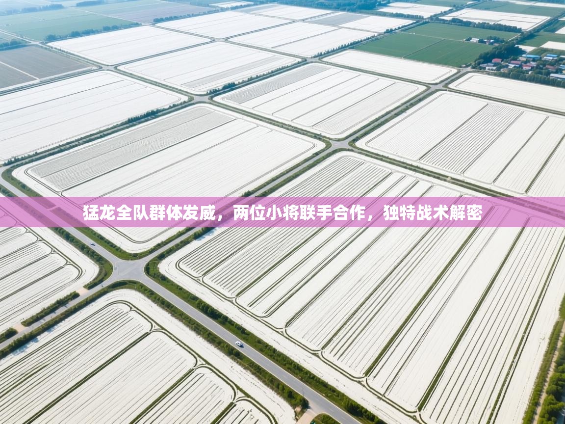 猛龙全队群体发威,两位小将联手合作,独特战术解密 第2张