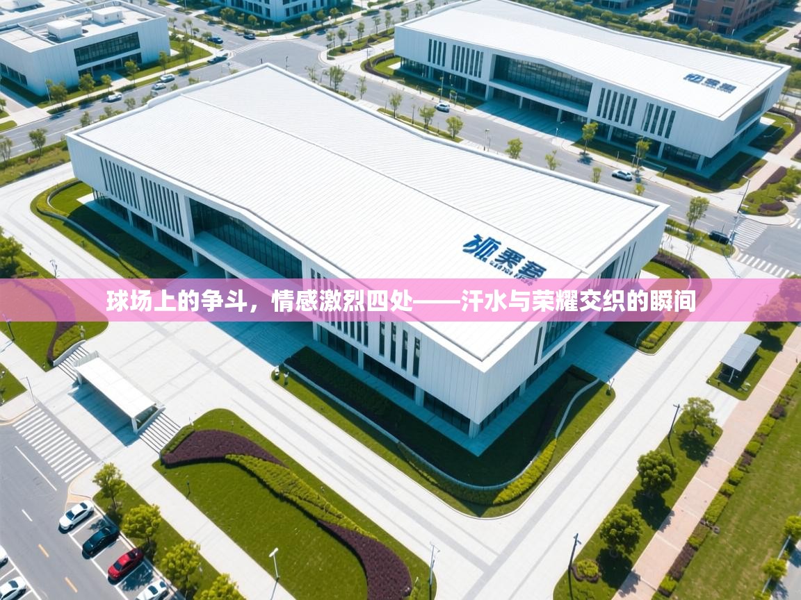 球场上的争斗,情感激烈四处——汗水与荣耀交织的瞬间 第1张