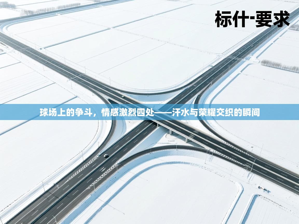 球场上的争斗,情感激烈四处——汗水与荣耀交织的瞬间 第2张