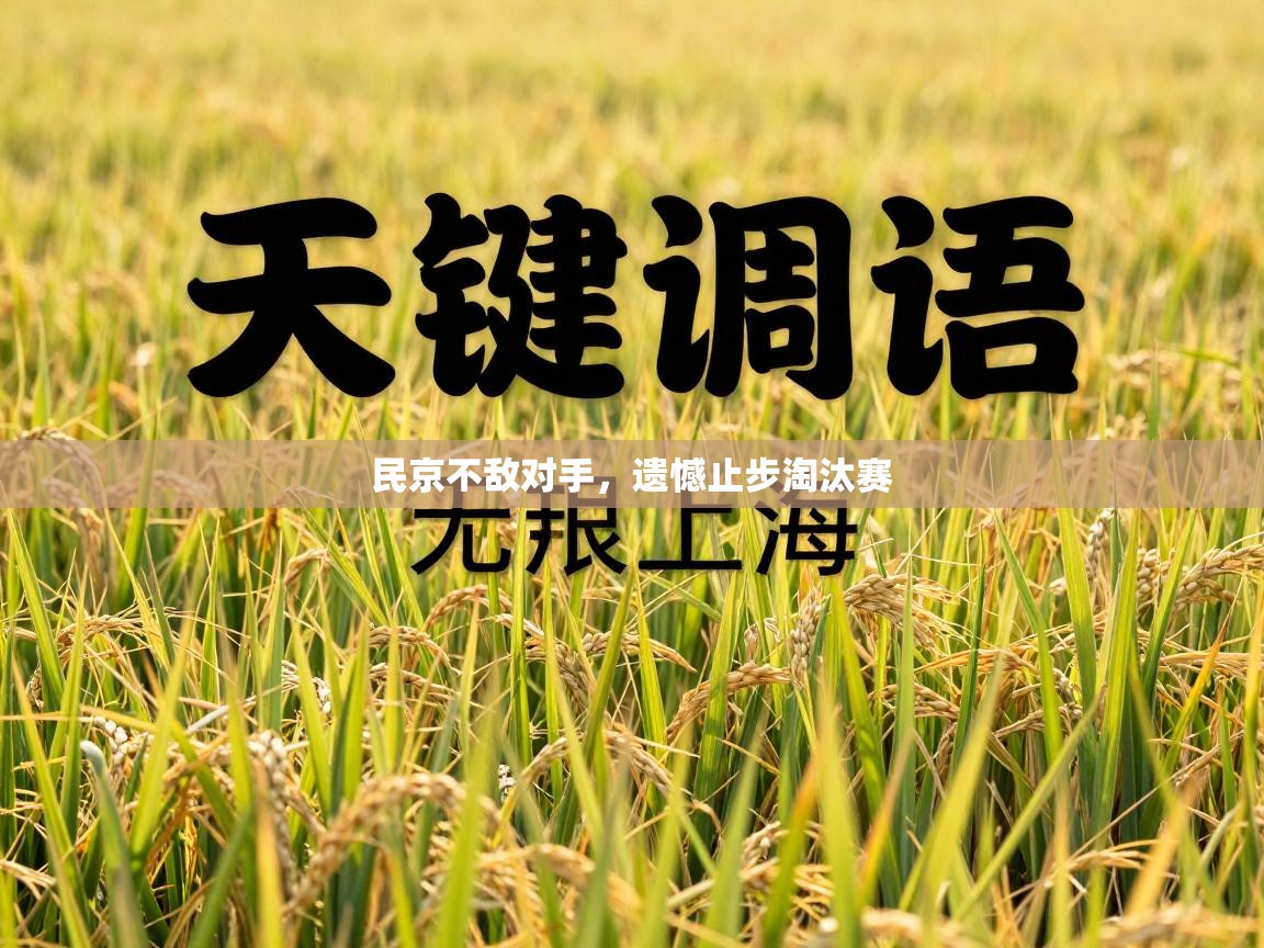 民京不敌对手，遗憾止步淘汰赛  第2张